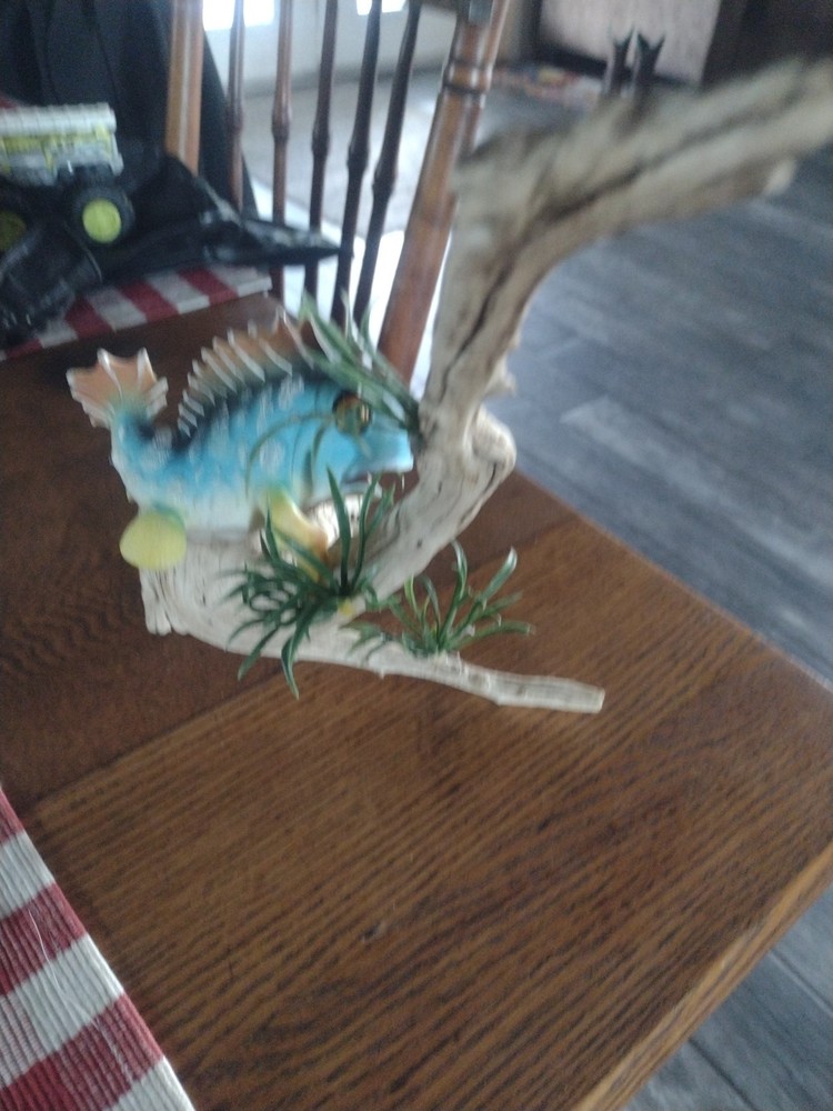 Moss Eater Flexi Fish On Driftwood