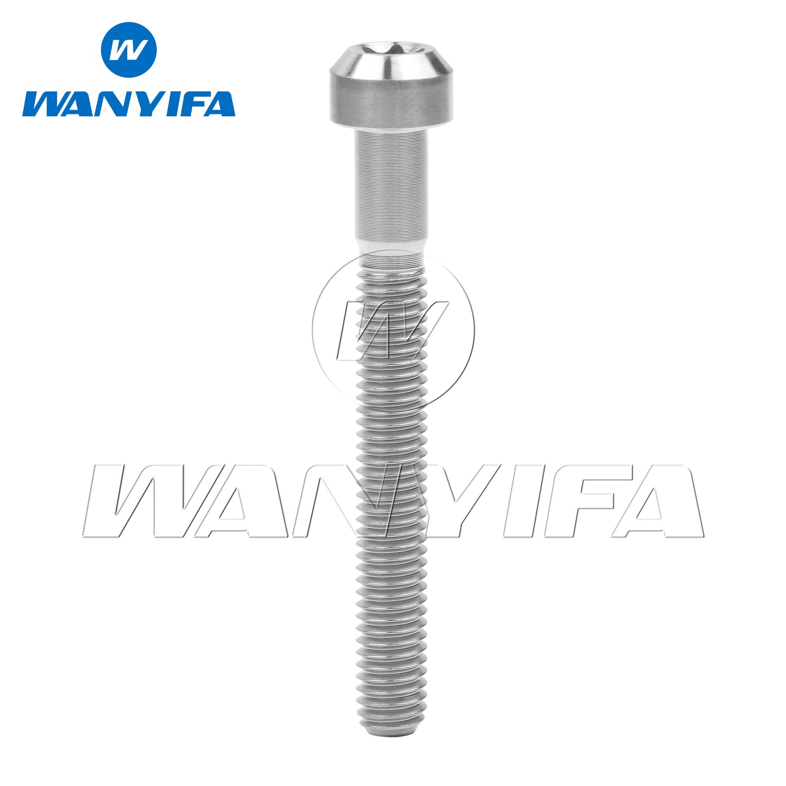 Titanium Bolt M5/M6x10 15 20 25 30 35 40 50 60 70 80mm Chamfered Torx Head Screw