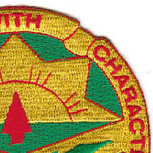 111th Ordnance Group Patch