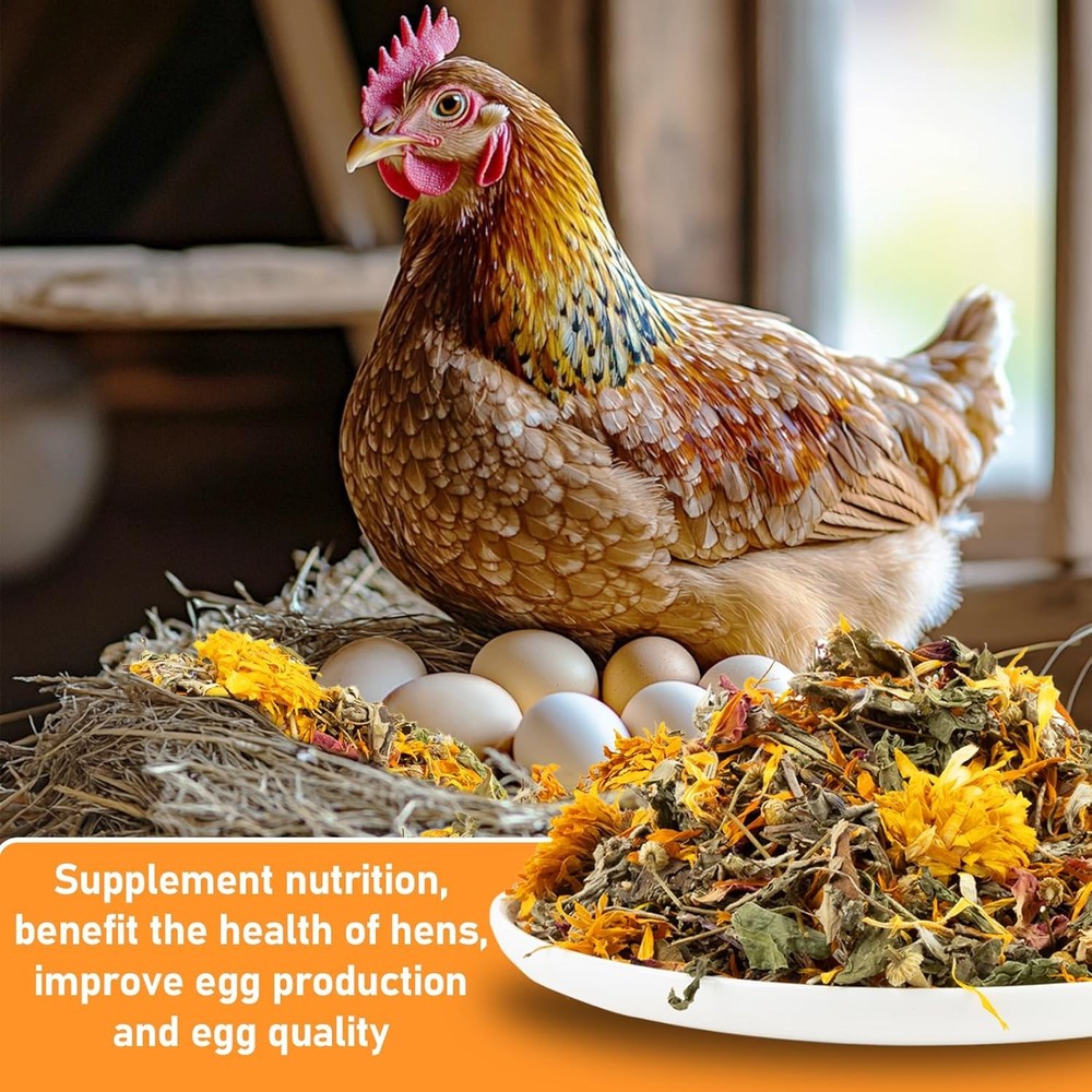 10oz Dried Chicken Nesting Herbs Layer Feed