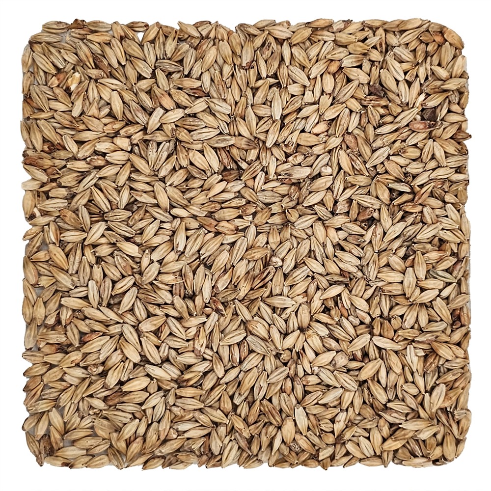 Home Brew Ohio Abbey Grain 5lb