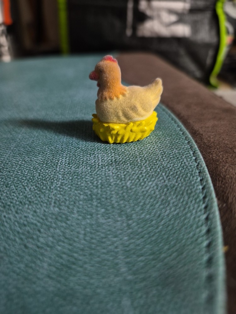 Flocked Chicken On Her Nest