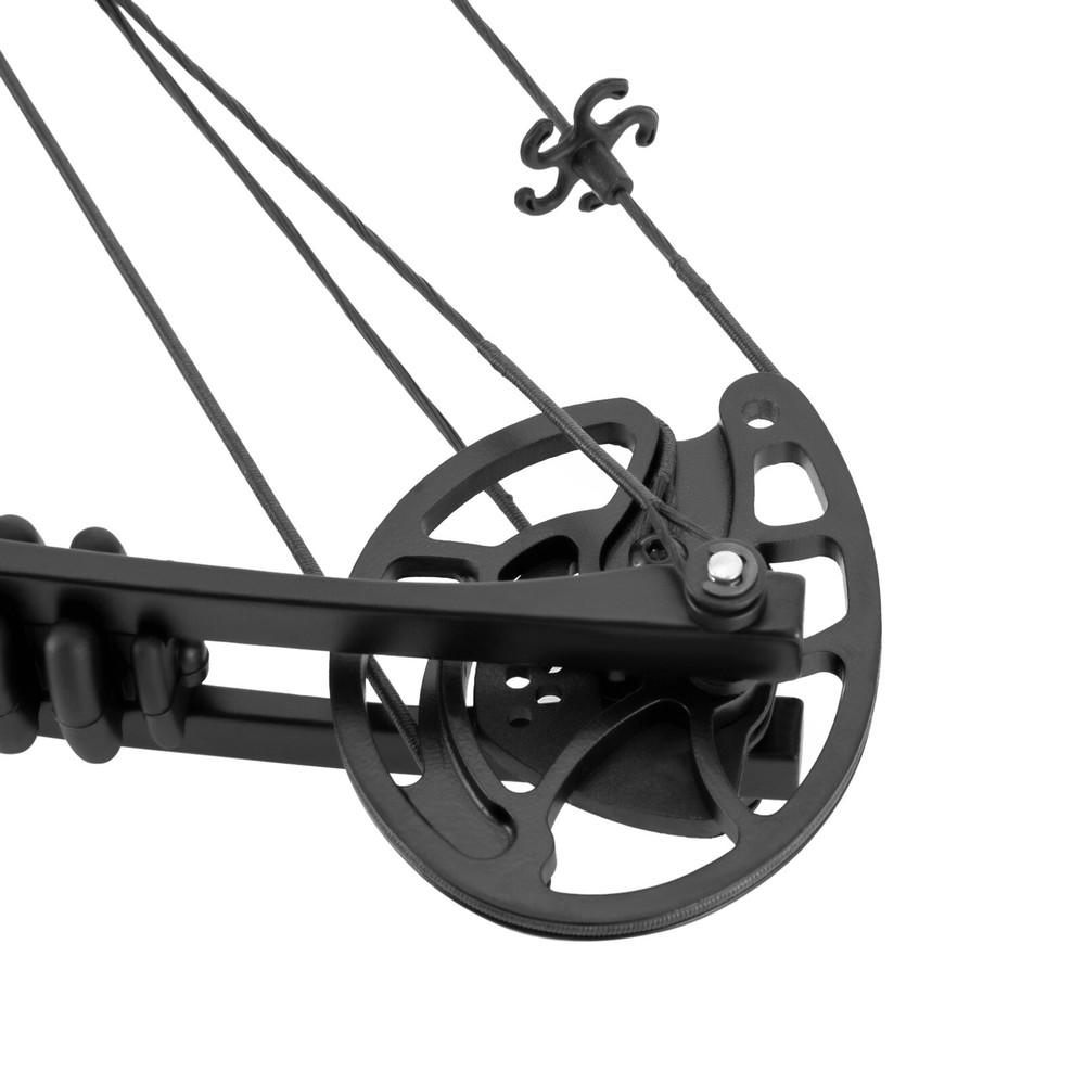 Black Right-Hand Compound Bow Kit for Beginners - Adjtable 30-55 lbs US~