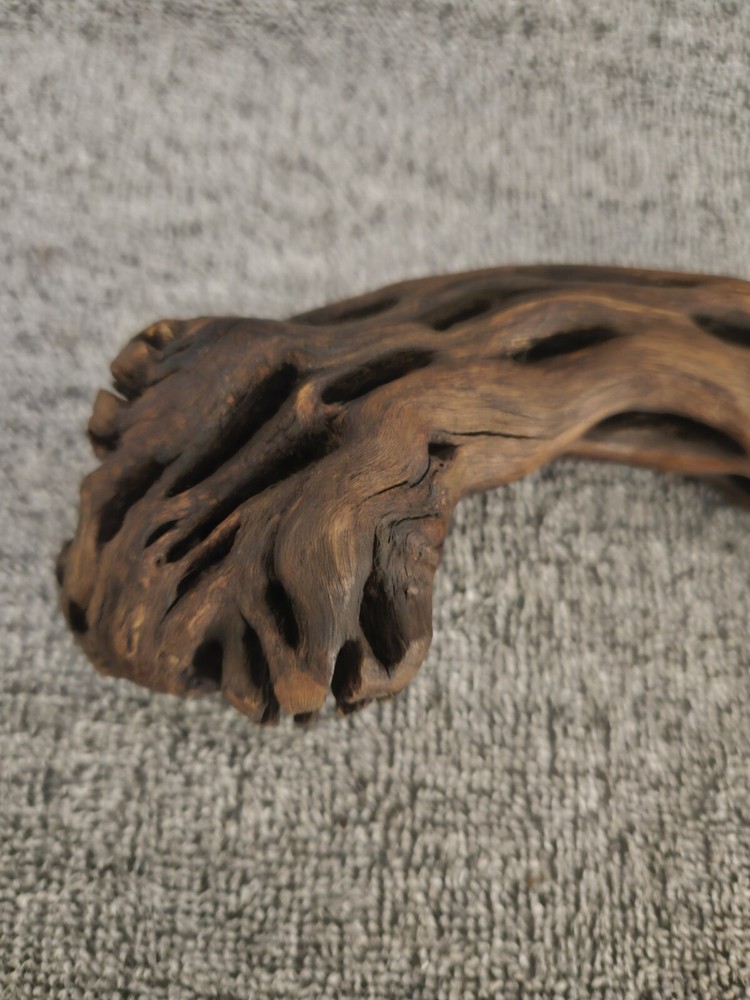 Flint Knapped Primitive Scalping Knife Cholla Handle