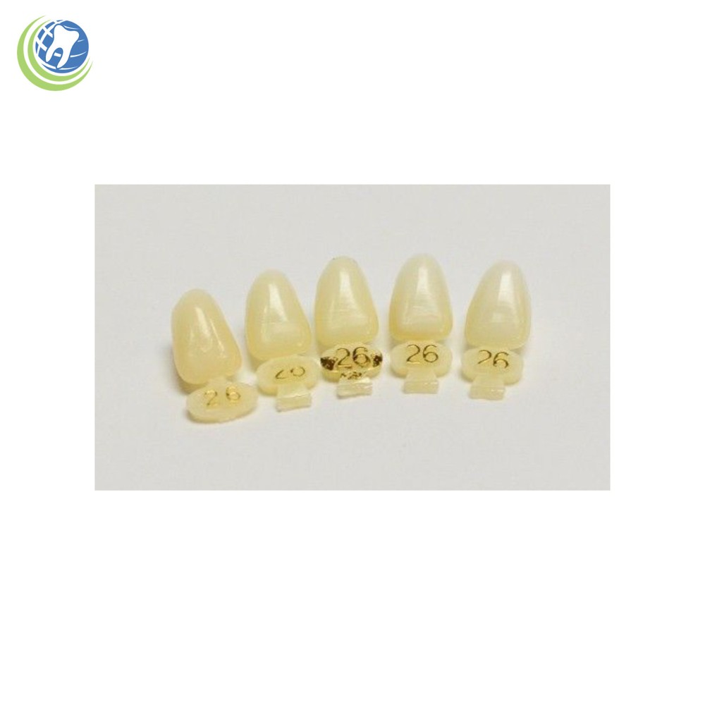 DENTAL POLYCARBONATE TEMPORARY CROWNS #26 (ULL) UPPER LEFT LATERAL 5/PACK