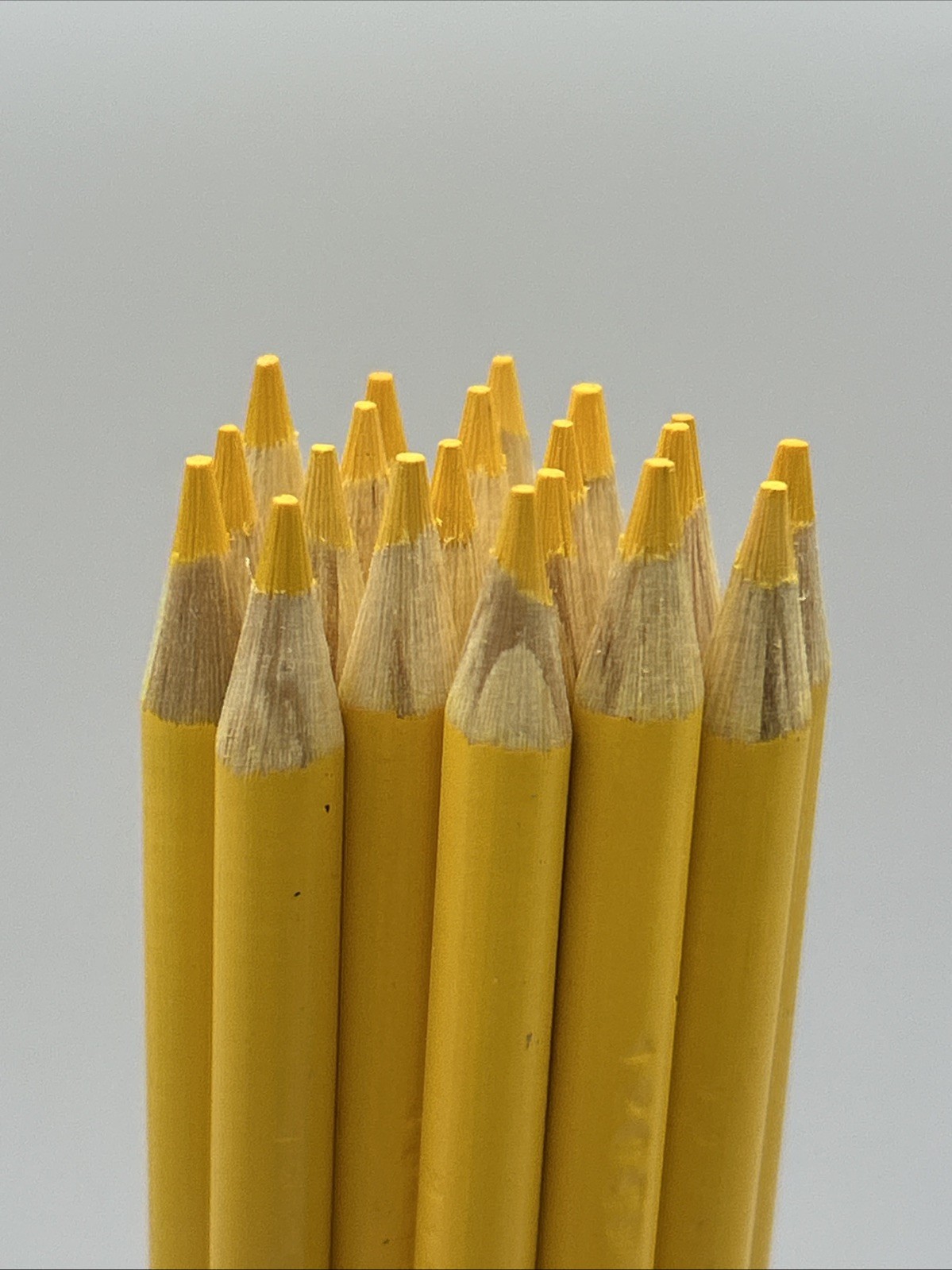 (20) Crayola Colored Pencils  (golden yellow) BULK