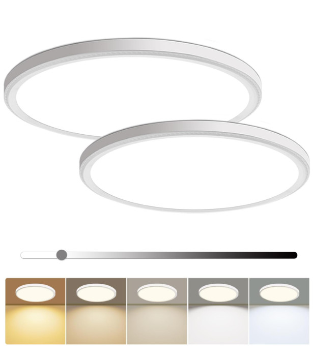 2Pcs/PK  12 Inch LED Flush Mount Ceiling Light 24W 5Color Temperature Adjustable