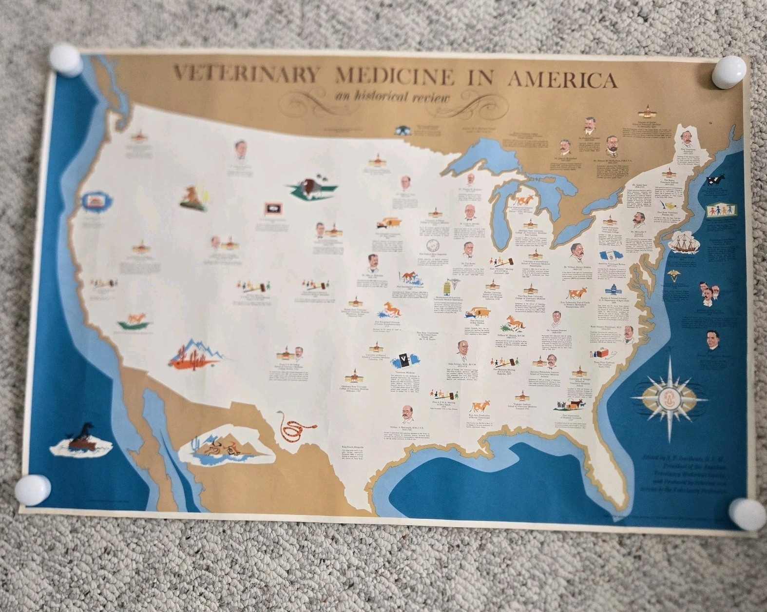 1960 Veterinary Medicine In America Poster History Map Unframed Vtg Vet Wall Art