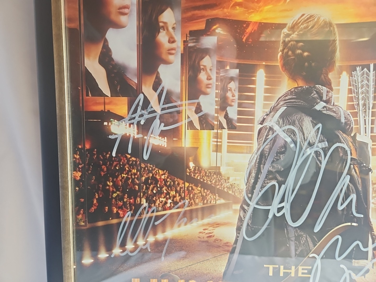 2012 NECA LIONSGATE THE HUNGER GAMES MOVIE ARENA POSTER 22x34 Signed By CAST!!