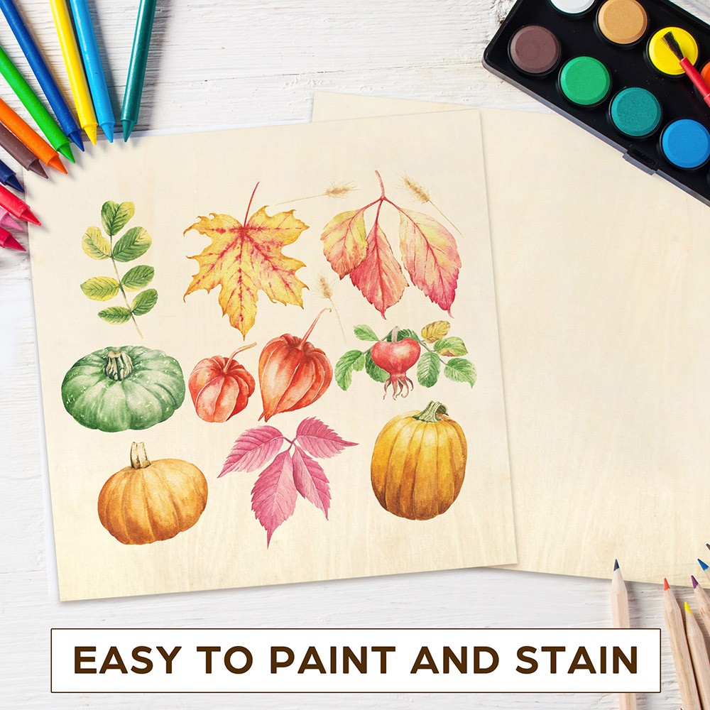 12PCS Basswood Sheets for Crafts 12 X 12 X 1/16 Inch 1.5mm Thick Plywood Sheets