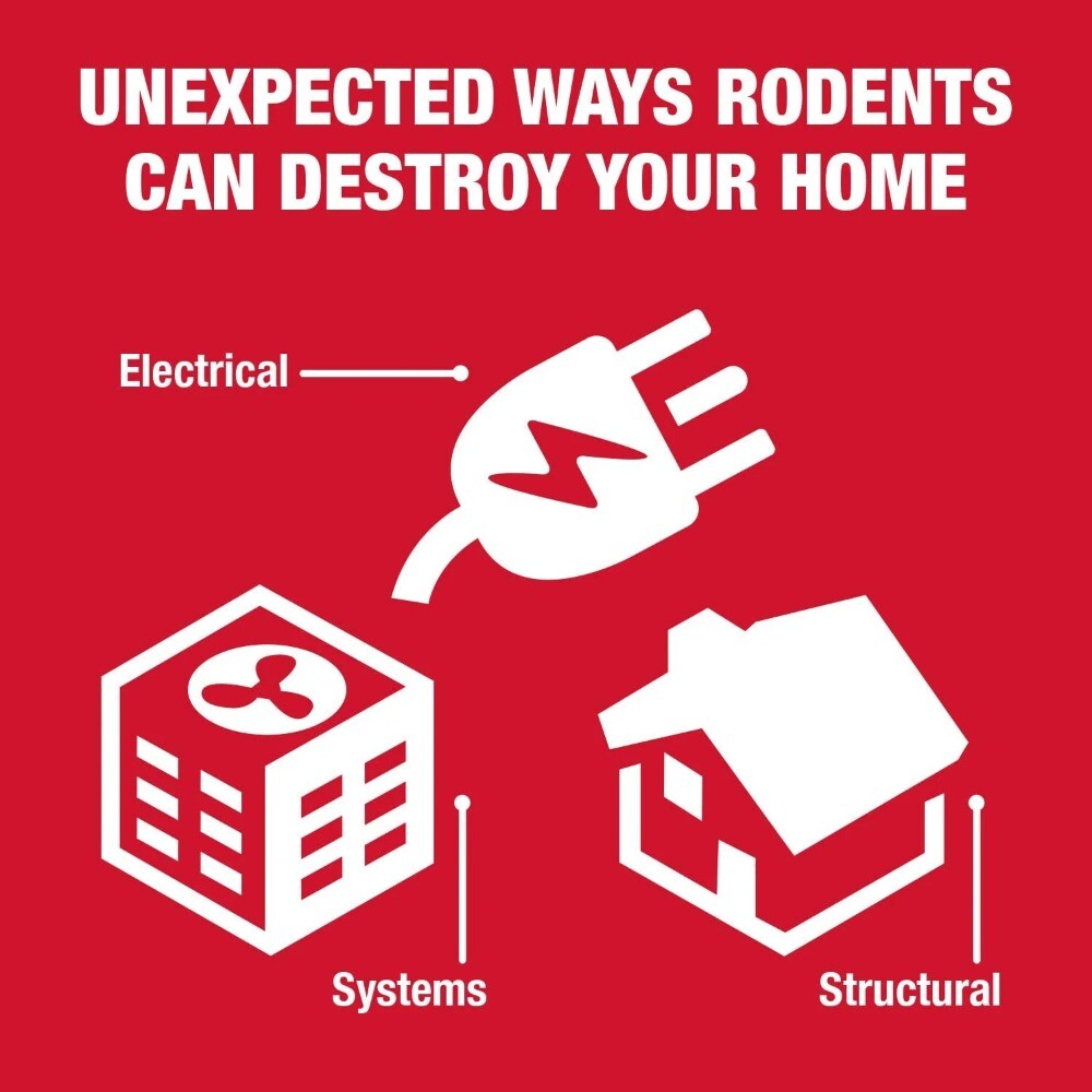 Home (2 pack) Catchmaster Reusable Solid Pro Series Multi-Catch Mouse Trap