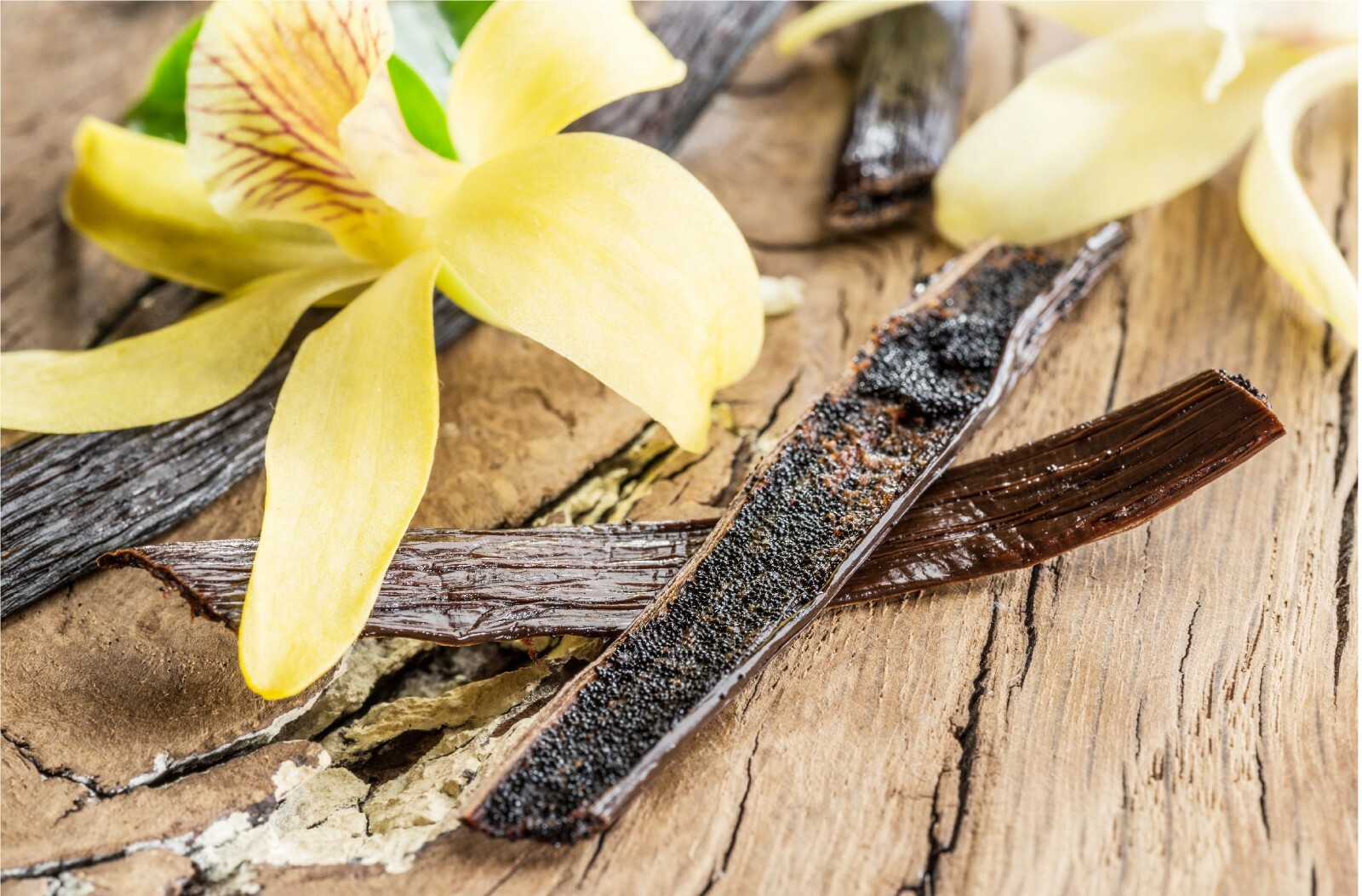 Tahitian Vanilla Beans | Whole Grade A Pods for Cooking, Baking & Extract Making