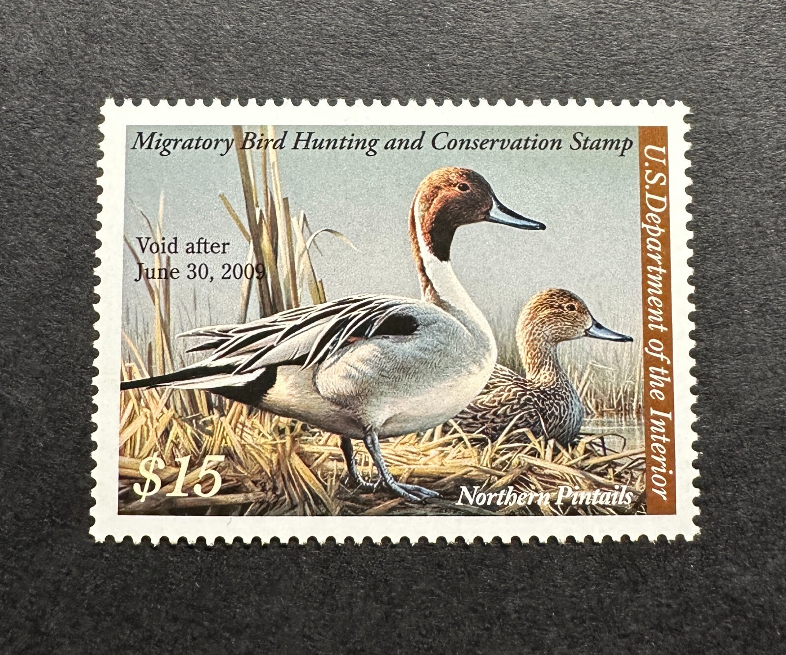 WTDstamps - #RW75 2008 - US Federal Duck Stamp - Mint OG NH