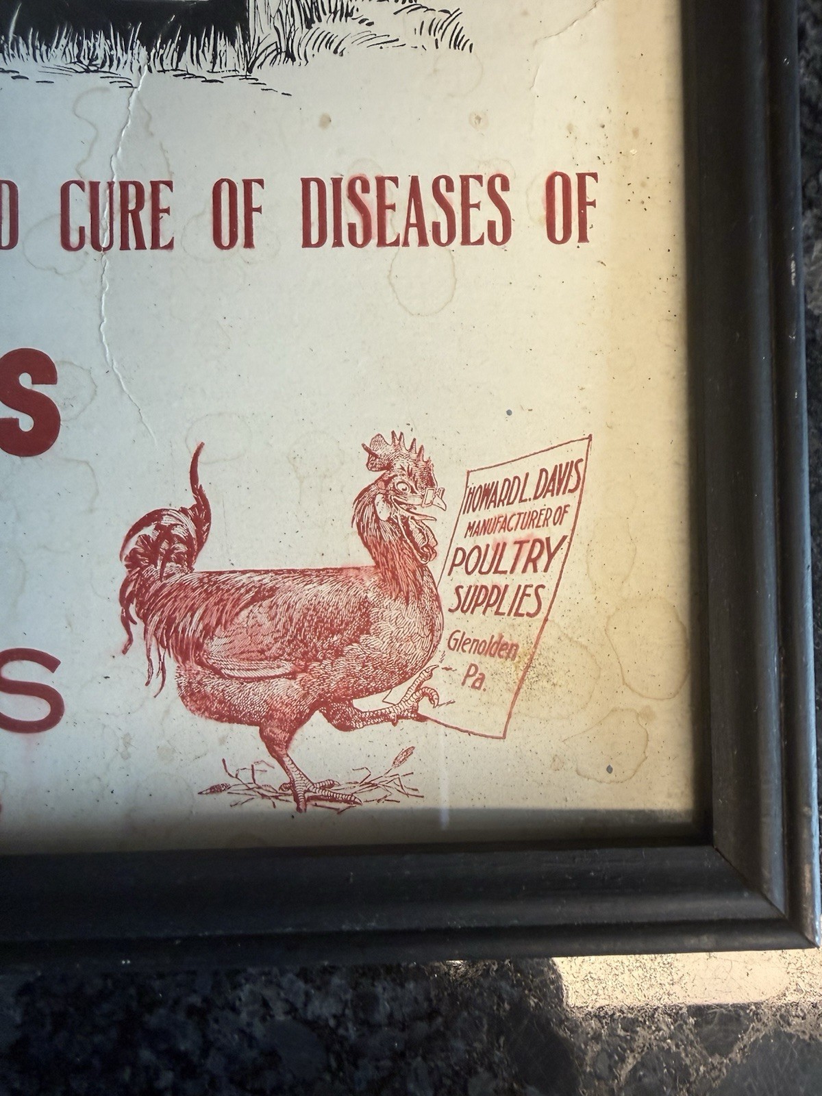 Rare Vtg Howard L. Davis Germ-Asid Graphic Advertising Farm Sign Glenolden PA