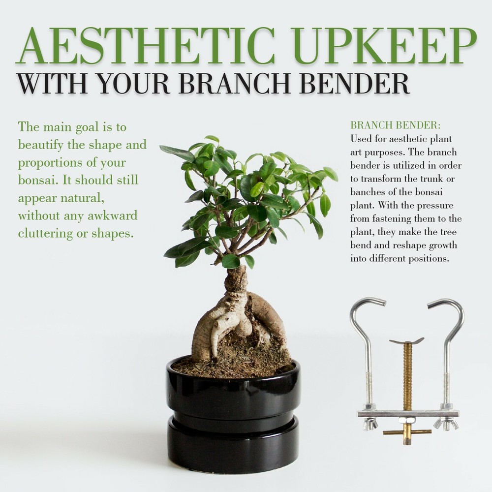 2 Bonsai Branch Bender Tools - BambooMN