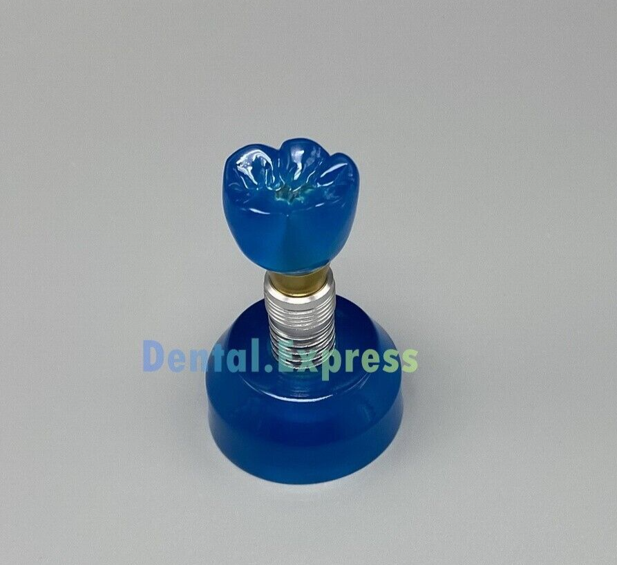 Dental Detachable Implant Model Teeth Models Study Teach Demonstration M2020