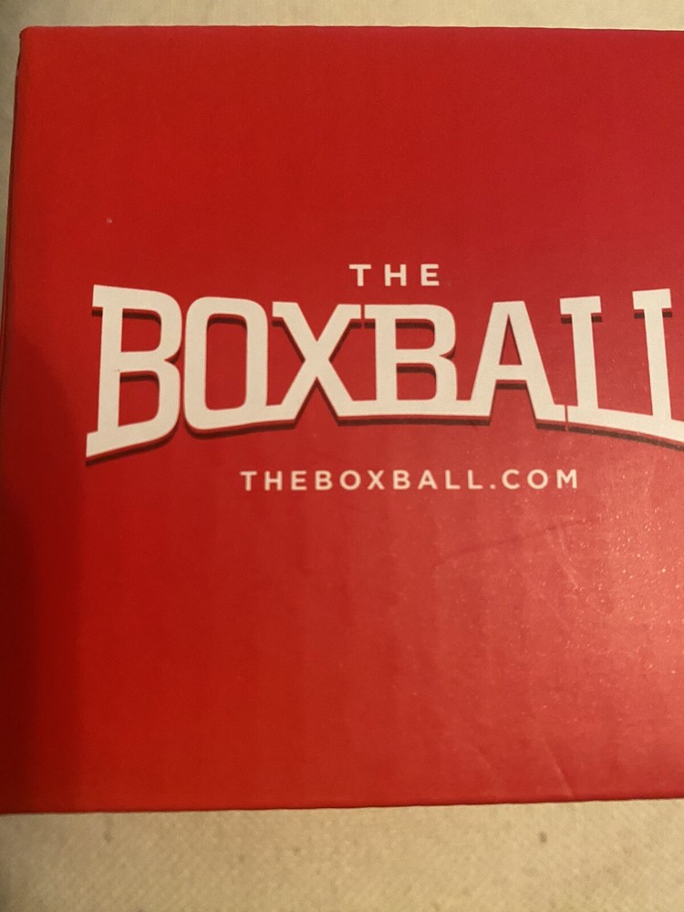 Boxing Game For Exercise