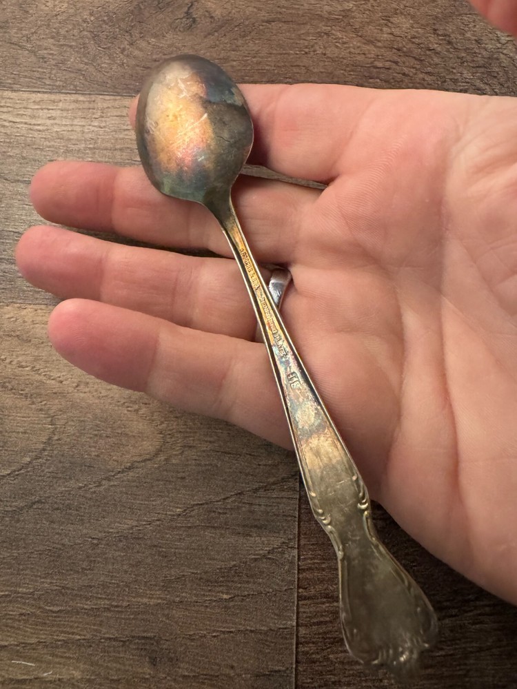 Rogers & Bro Daybreak/Elegant Lady Pattern Silverplated Teaspoon