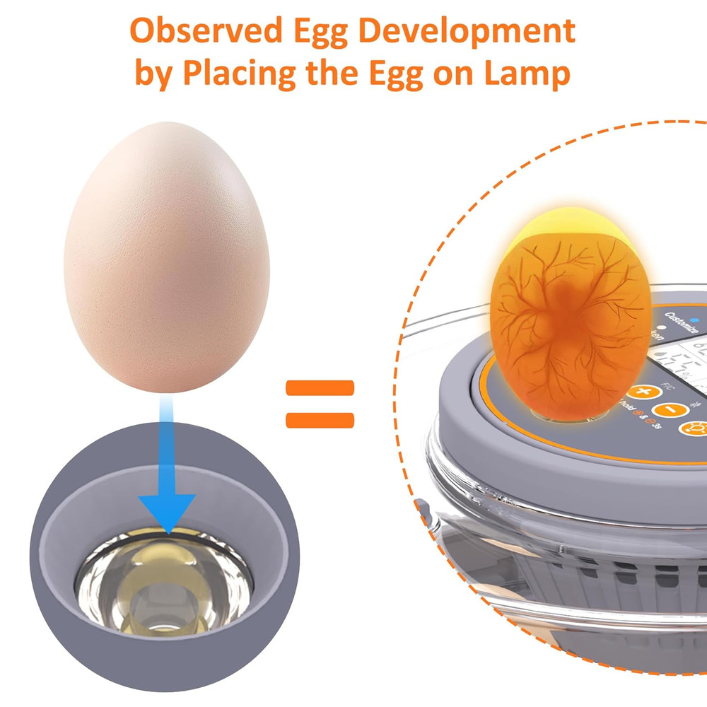 12 Egg Incubator with Automatic Egg Turning and Humidity Control, Intelligent Eg