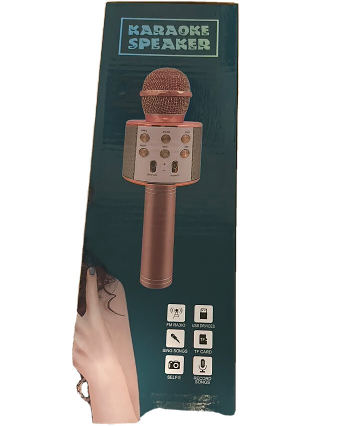 Karaoke Speaker