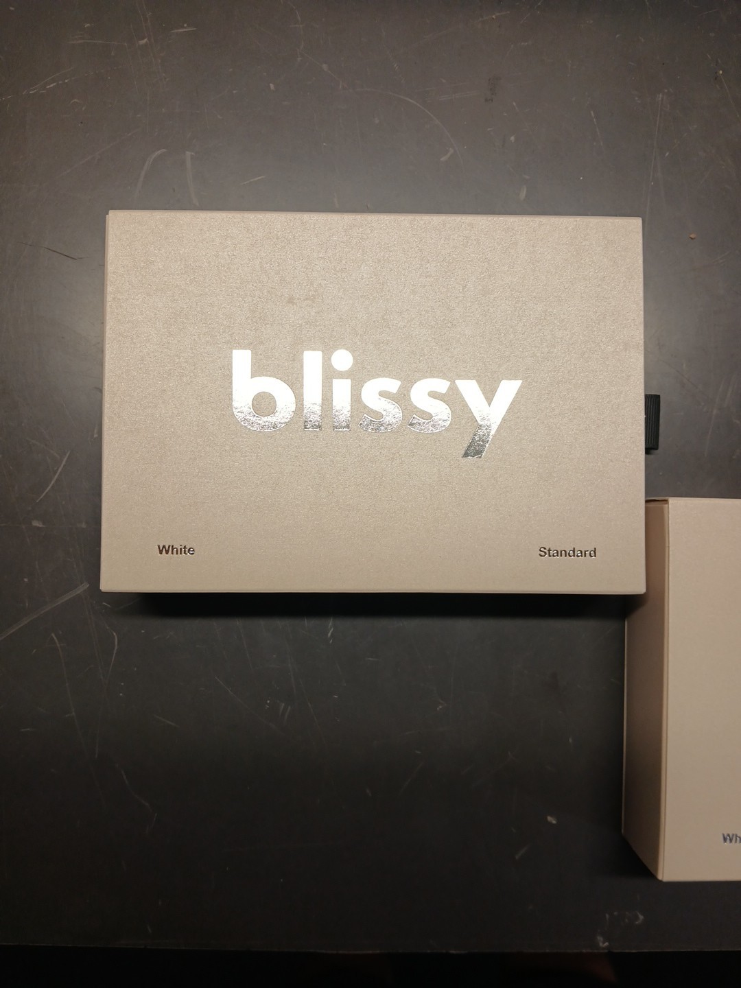 2x BLISSY MOMME 22 Standard WHITE MULBERRY SILK PILLOWCASES New In Box Lot Of 2