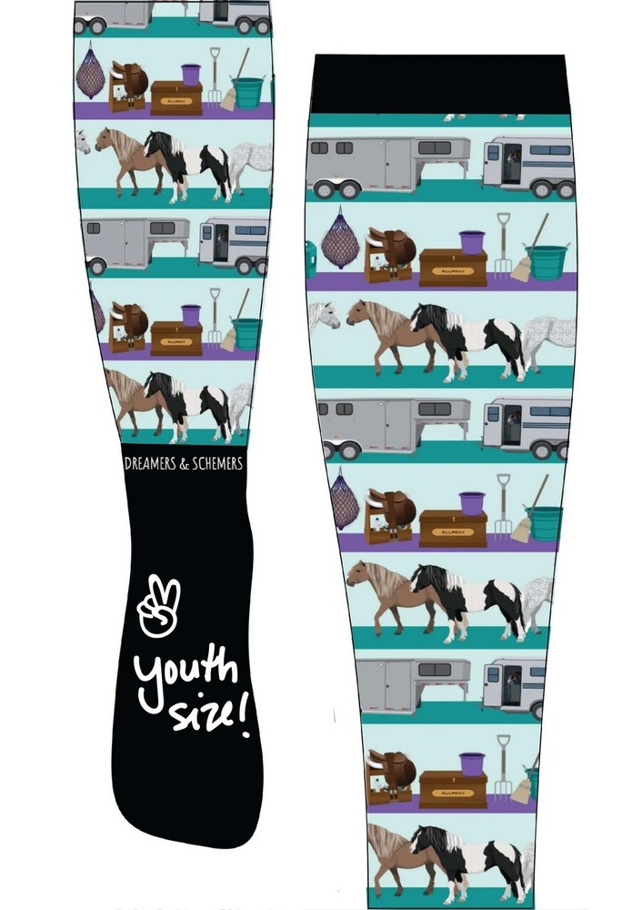 Youth Dreamers & Schemers Pair & Spare Boot Socks