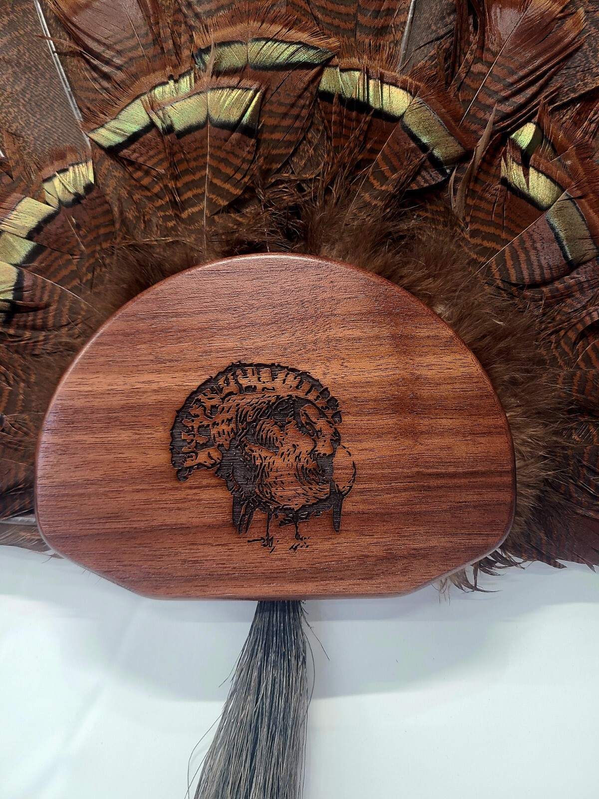 Walnut Turkey Fan Display Kit with Lazer Engraving