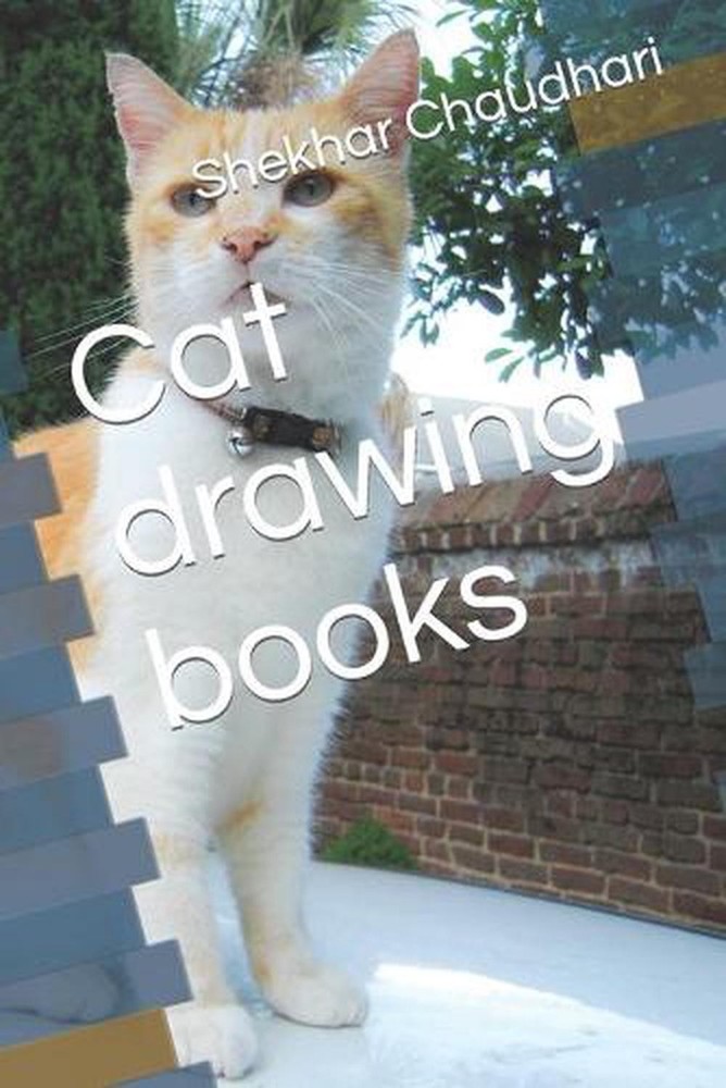 Cat drawing books