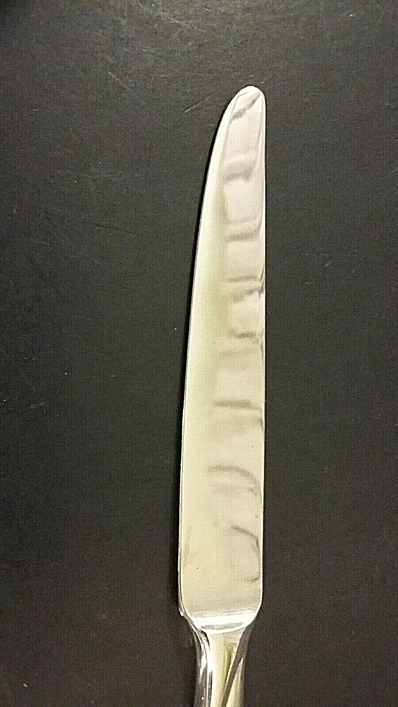 Oneida Camlynn stainless 9 1/2" solid handle dinner knife