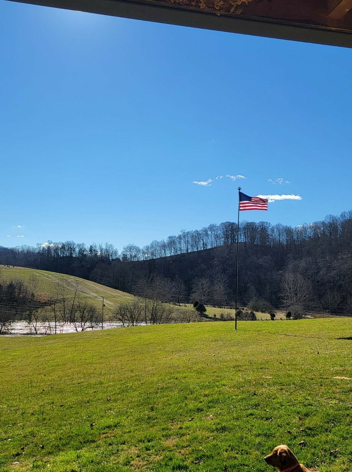 30' DELTA SECTIONAL FLAG POLE "FREEDOM EDITION" (BLACK)