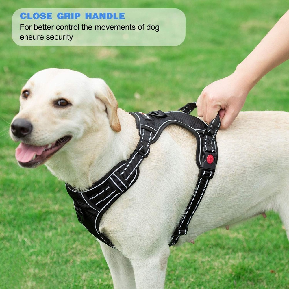 No-pull harness with a complimentary 5-foot heavy-duty leash