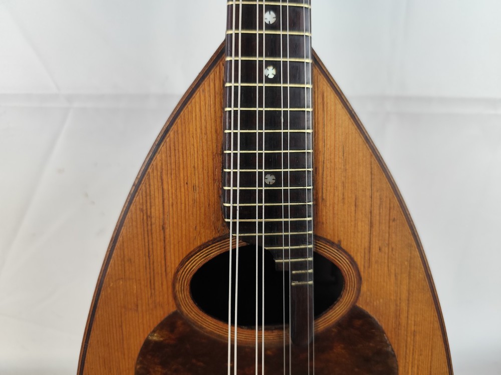 Mandolin 4/4 Pasquale Febraro 1923 Naples 曼陀林 만돌린マンドリン