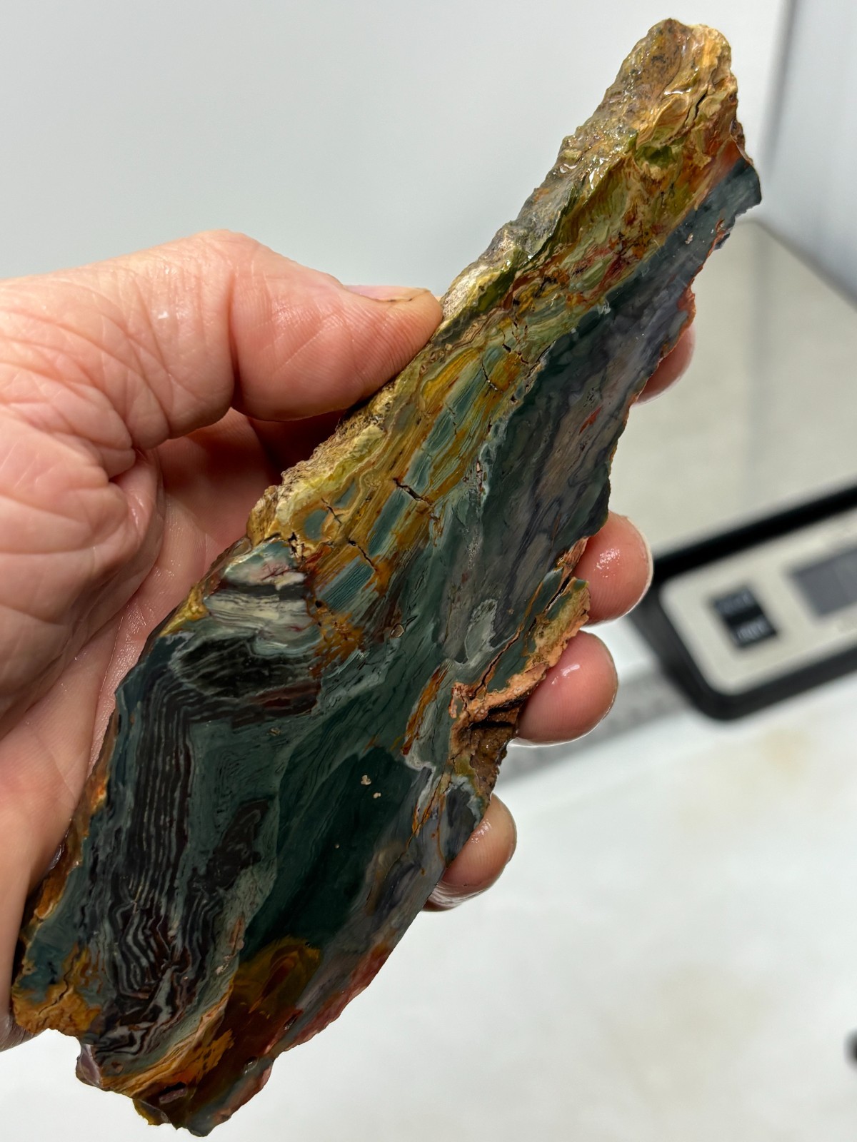Gary Green Caldera Freedom Jasper Slab Cabbing Lapidary Combo Ship Avail