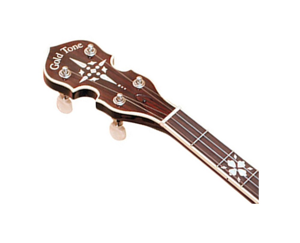 Gold Tone BG-150F Intermediate Bluegrass Banjo - Open Box