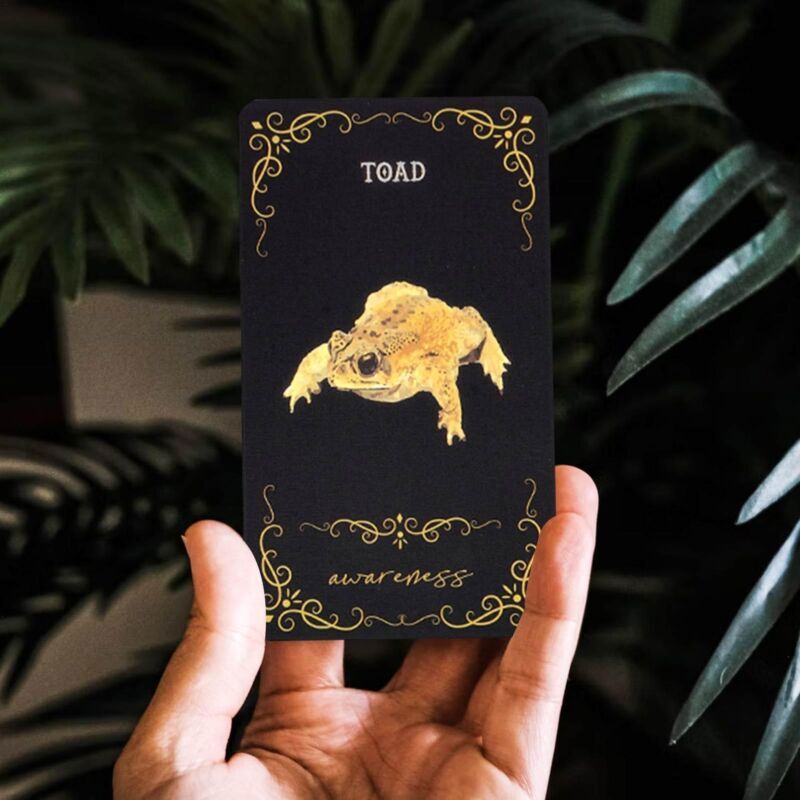 Practical Magic Oracle Cards Tarot Card Decks for Beginners Professionals