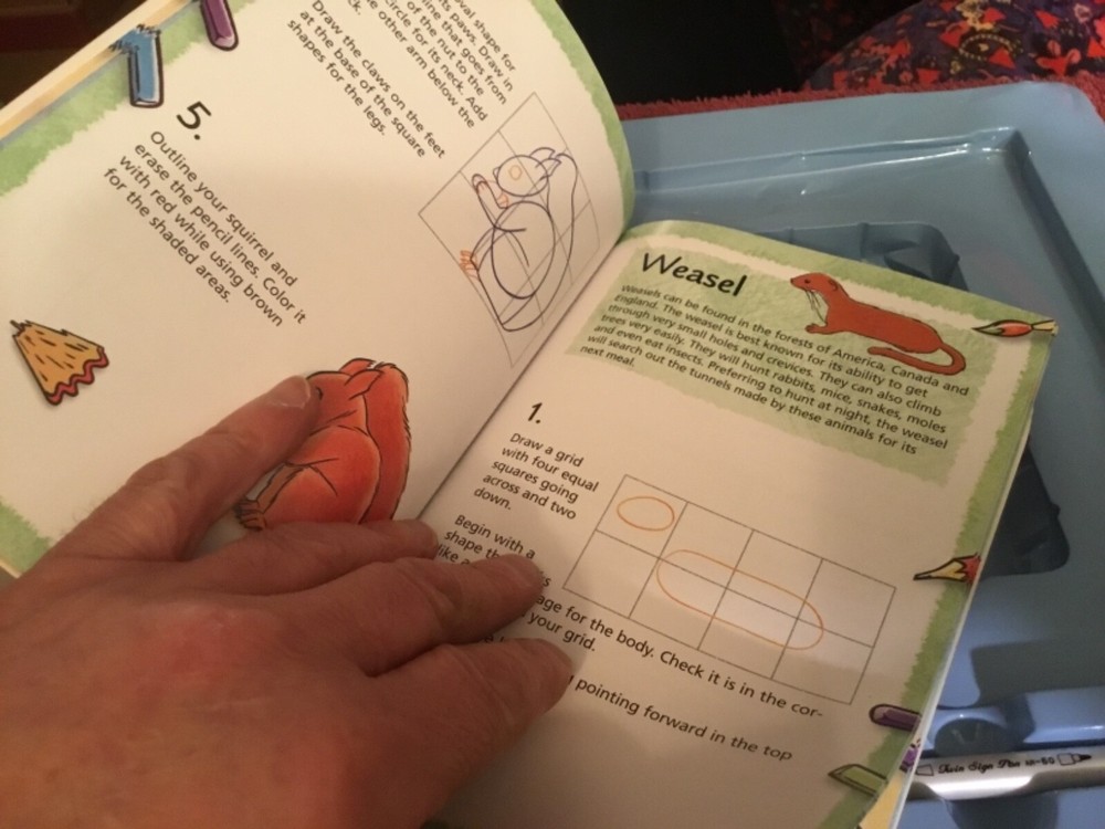 Draw Animals Book & Kit