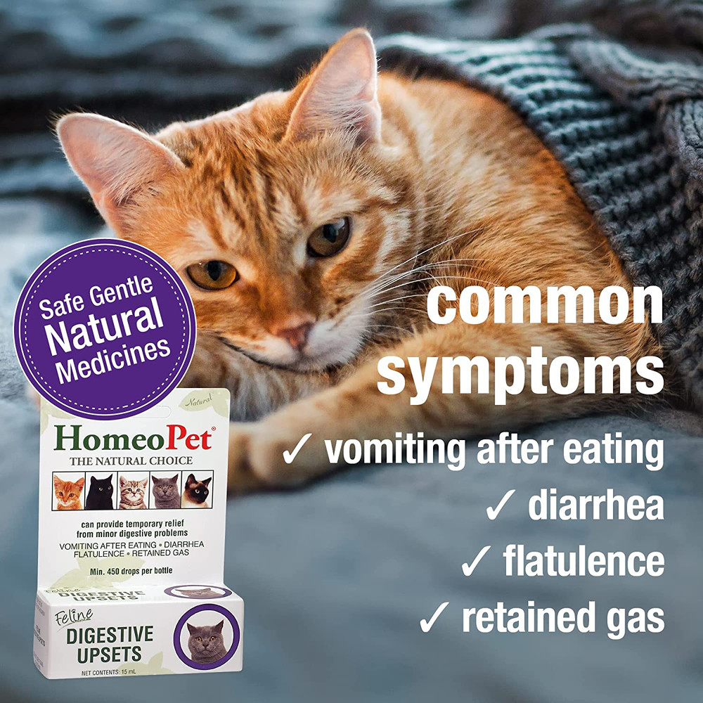 Feline Digestive Upsets, Natural Cat Digestive Support, Digestive Supplement for