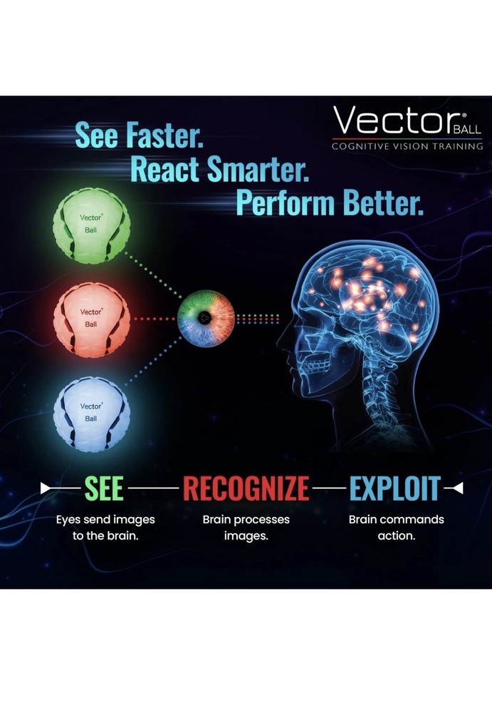 Vector® Ball S Cognitive Vision Training for All Sports and Ages