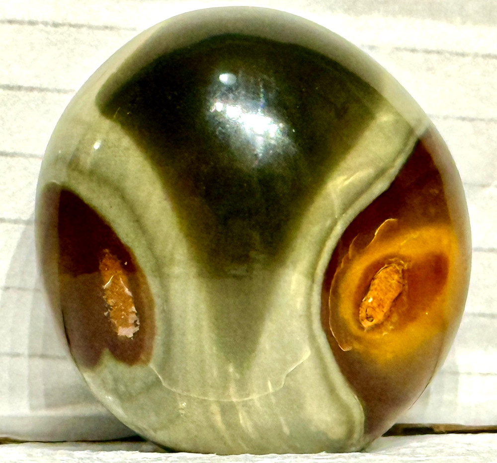Polychrome Jasper Stone with Alien Face 59 grams #630