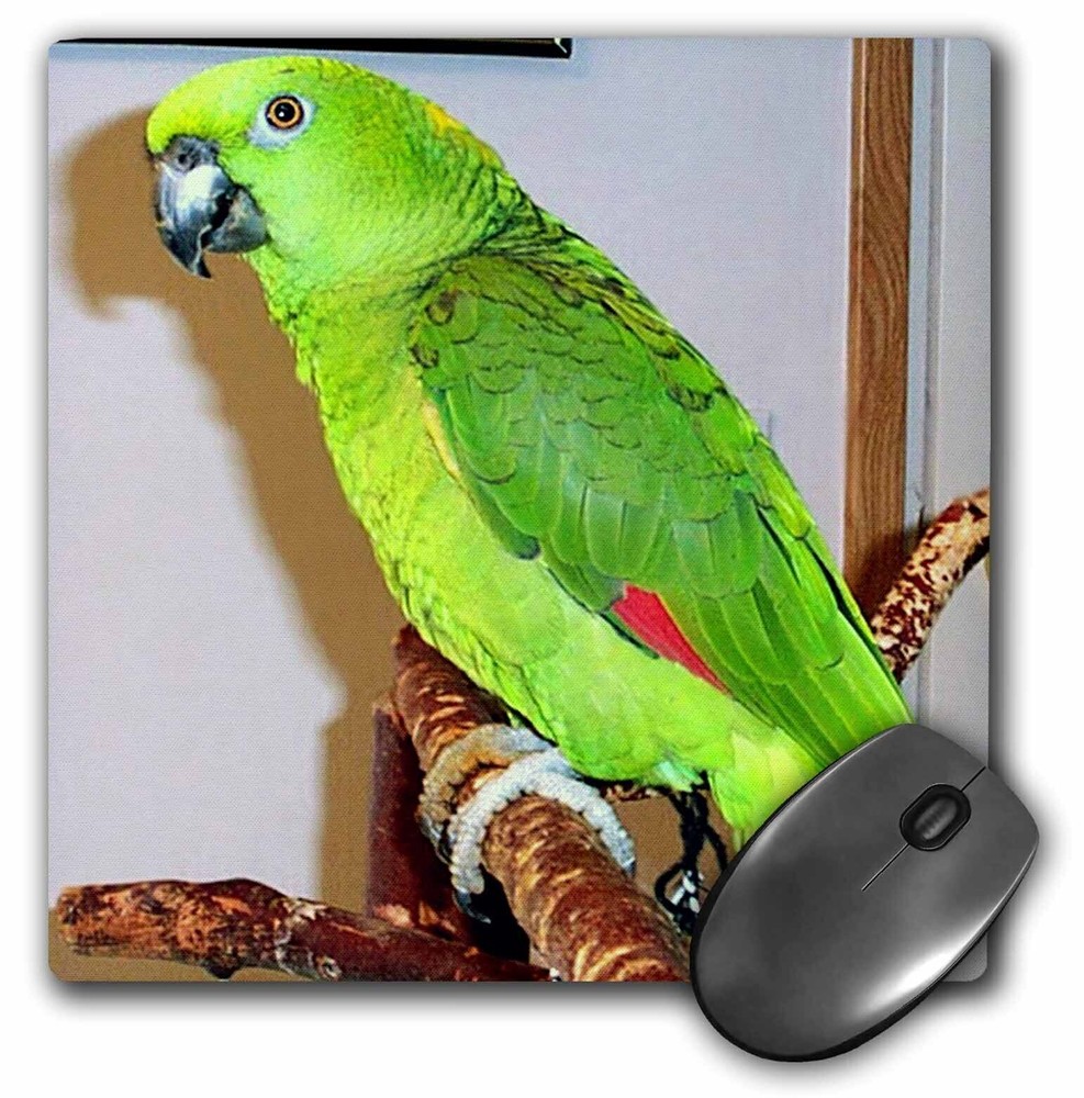 3dRose Yellow Nape Parrot MousePad