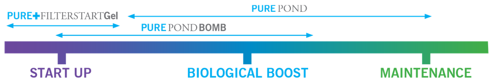 EVOLUTION AQUA PURE FILTER START GEL - 1 L