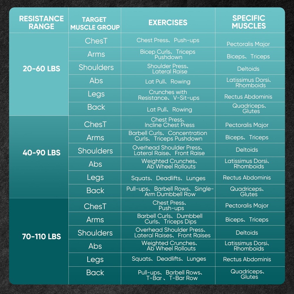 SakerPlus Twister Arm Trainer, Adjustable Spring Chest Expander Forearm Strength