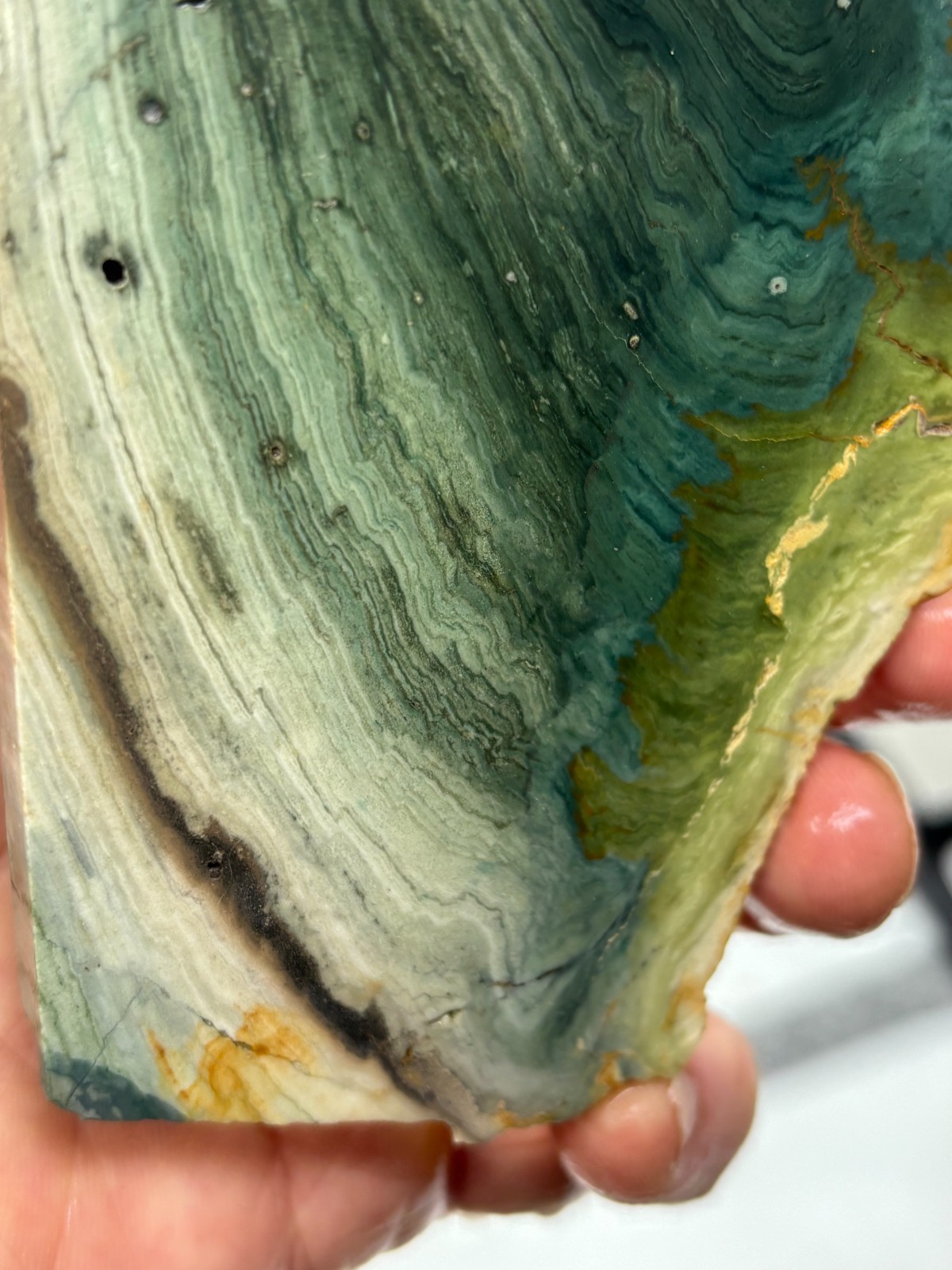 Gary Green Caldera Freedom Jasper Slab Cabbing Lapidary Combo Ship Avail