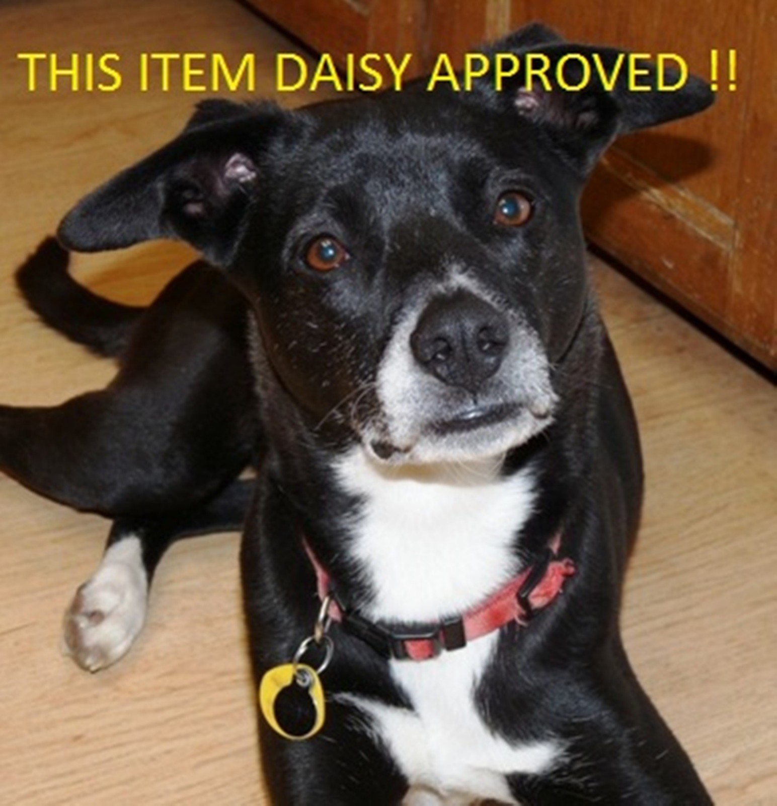 1-1/4"-12 NF Tap Alfa CSHTT70557 Carbon Steel Taper Starter Hand 4FL US Seller