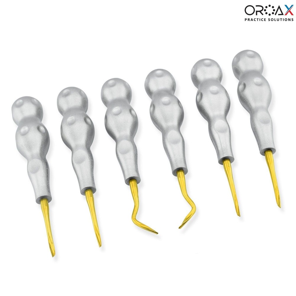 Dental Twist Point Root Elevators Luxating Tooth Extraction Surgical 6pcs Set