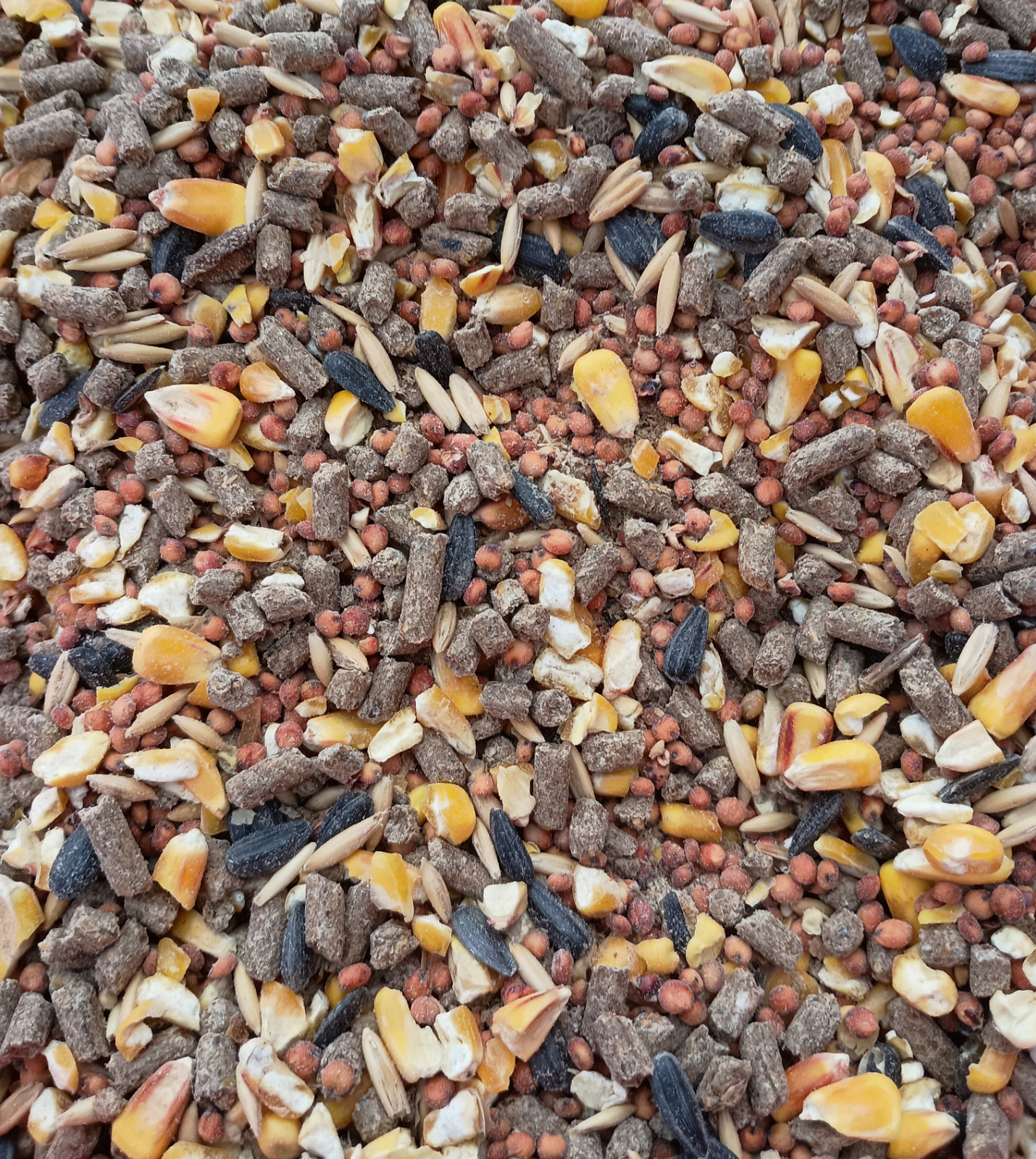 Chicken Scratch Feed – Corn, Wheat & Milo for Chickens, Ducks & Game Birds