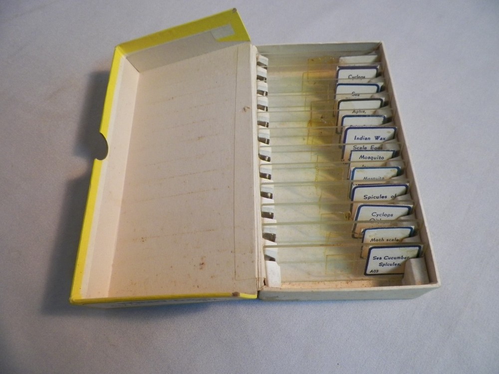 Box 12 Lafayette Prepared Microscope Slides Micro-Animals