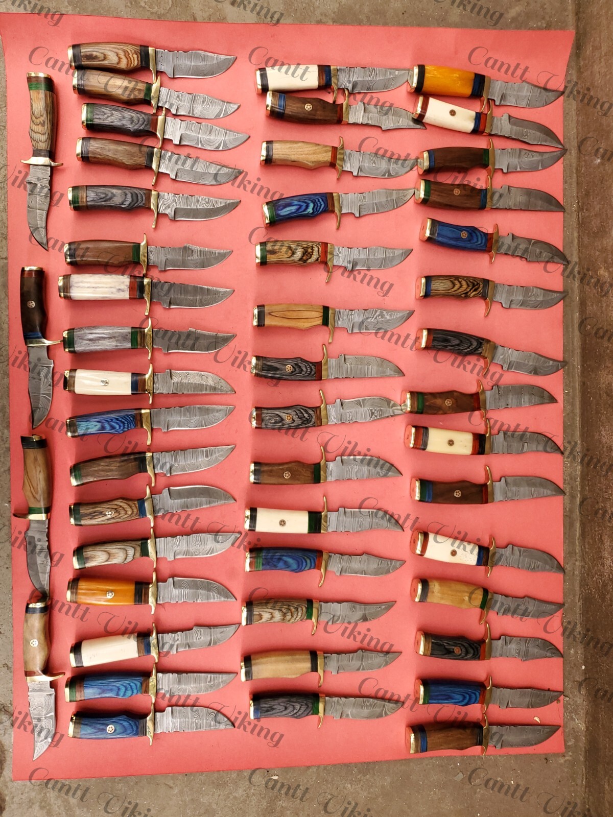 Lots of 60 Custom Handmade Damascus Steel 6" Skinner & Hunting Knives W/Sheath.