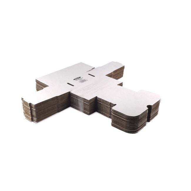 1 BCW 5" Toploader Storage Box