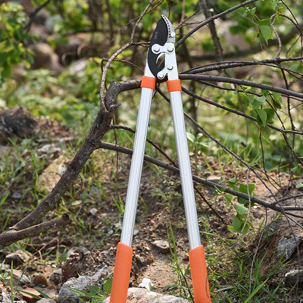 Professional Anvil Loppers Ratchet Pruning Shears Sharp Gardening Tool Kit